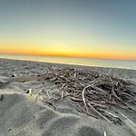 Le Panorama Du Tropique Cyprien - Saint-cyprien-plage - Perpignan 66 Vue - Front De Апартаменты Сен-Сиприен