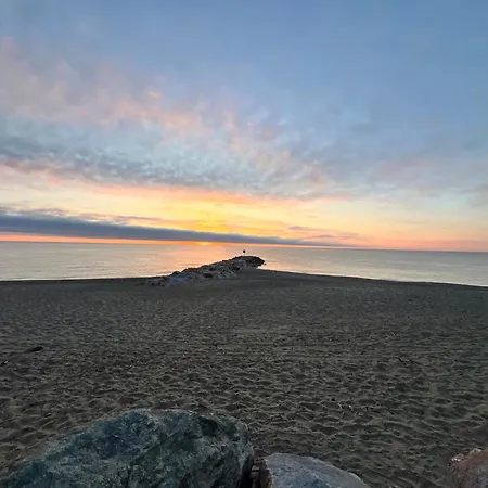 Le Panorama Du Tropique Cyprien - Saint-cyprien-plage - Perpignan 66 Vue - Front De