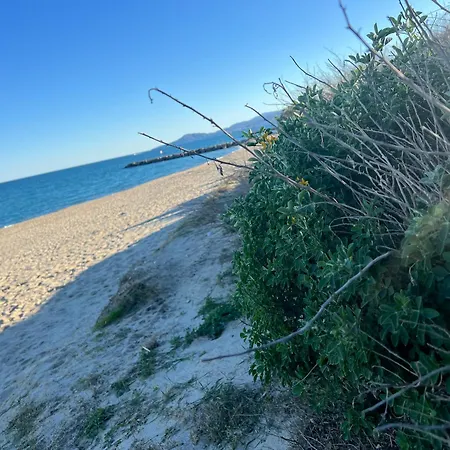 Le Panorama Du Tropique Cyprien - Saint-cyprien-plage - Perpignan 66 Vue - Front De *