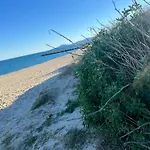 Le Panorama Du Tropique Cyprien - Saint-cyprien-plage - Perpignan 66 Vue - Front De *