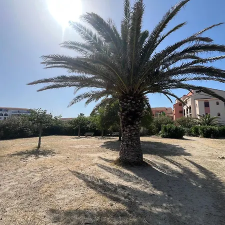 Le Panorama Du Tropique Cyprien - Saint-cyprien-plage - Perpignan 66 Vue - Front De Apartment *