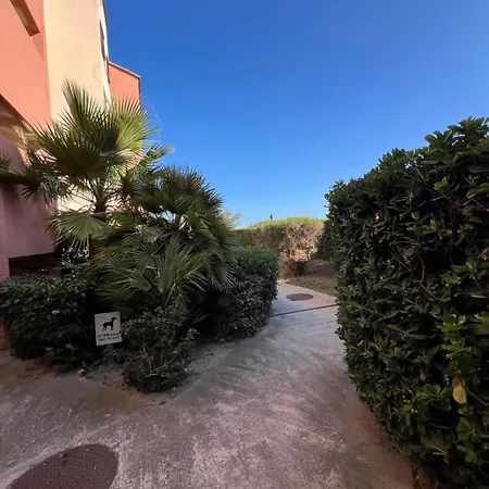 Le Panorama Du Tropique Cyprien - Saint-cyprien-plage - Perpignan 66 Vue - Front De