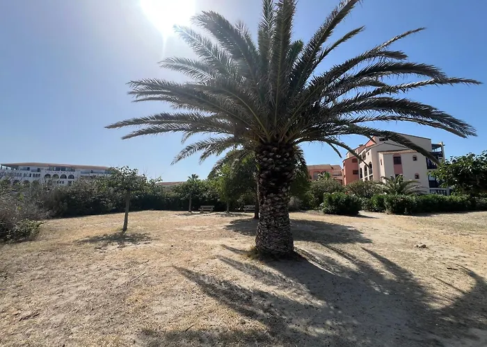 Le Panorama Du Tropique Cyprien - Saint-cyprien-plage - Perpignan 66 Vue - Front De Daire *