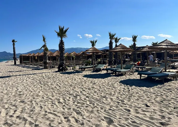 Lägenhet Le Panorama Du Tropique Cyprien - Saint-cyprien-plage - Perpignan 66 Vue - Front De *