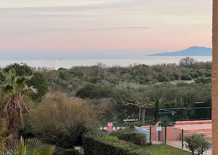 Le Panorama Du Tropique Cyprien - Saint-cyprien-plage - Perpignan 66 Vue - Front De Daire