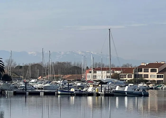 Le Panorama Du Tropique Cyprien - Saint-cyprien-plage - Perpignan 66 Vue - Front De *